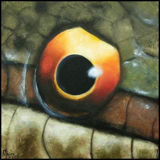 Augenblick einer Schlingnatter Acryl auf Leinwand;
30 x 30 cm